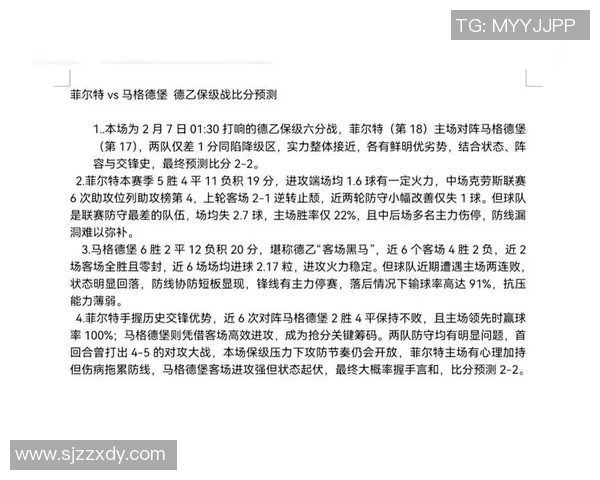 汉堡与菲尔特昨晚比赛结果揭晓精彩瞬间回顾与分析